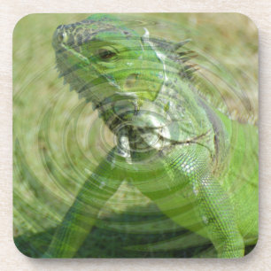 Porta-copo O Iguana Verde