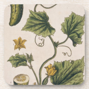 Porta-copo O pepino do jardim, chapeia 4 "de um erval