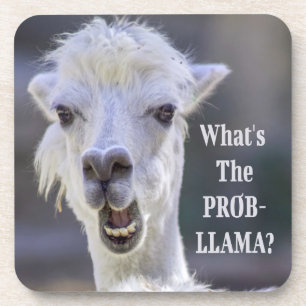 Porta-copo O que é o Prob-Llama? LLAMA Engraçado