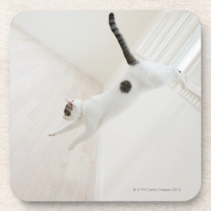 Porta-copo O salto do gato