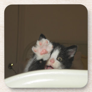 Porta-copo "Olá Kitten", portas copos