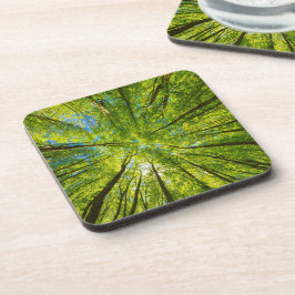 Porta-copo Olhando através das folhas de árvores verdes