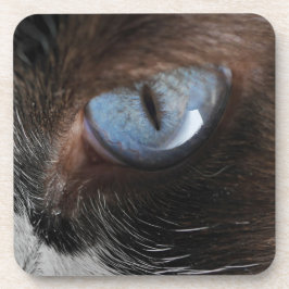 Porta-copo Olho de Gato.JPG