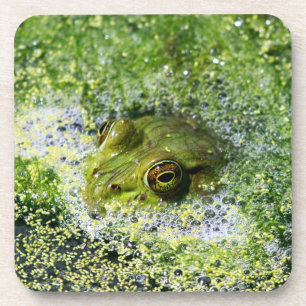 Porta-copo Olhos sapos em um Pond