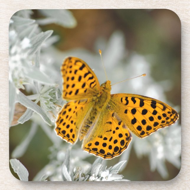 Porta-copo Orange and Black Spotted Butterfly (Frente)
