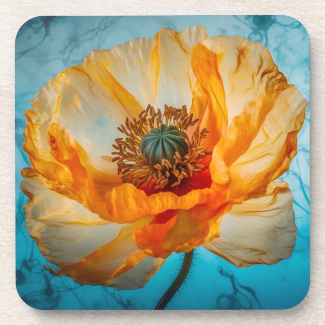 Porta-copo Orange Beauty (Frente)