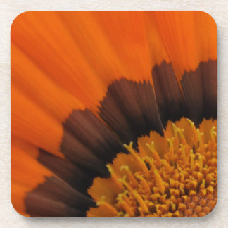 Porta-copo Orange Gazania Portas copos