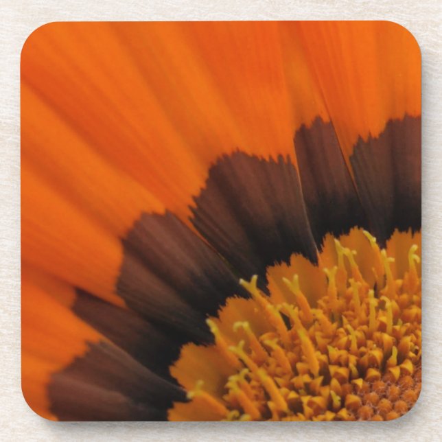Porta-copo Orange Gazania Portas copos (Frente)