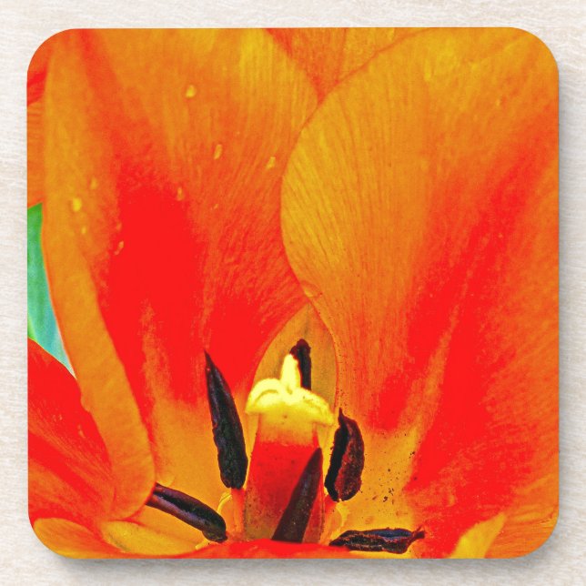 Porta-copo Orange Tulip (Frente)