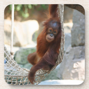 Porta-copo OrangUtan 001
