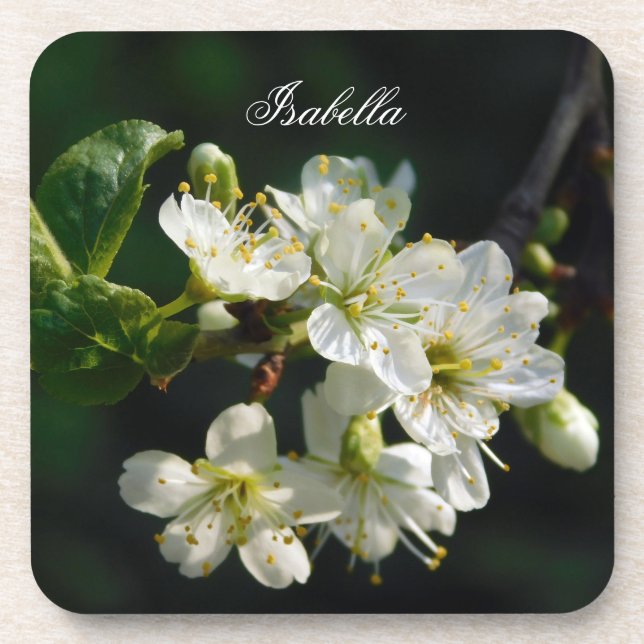 Porta-copo Original White Plum Art Custom Name Coaster (Frente)