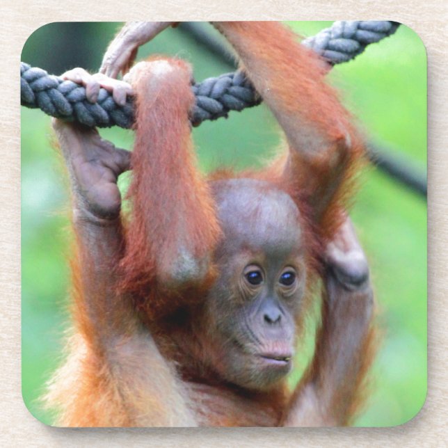 Porta-copo Oring Utan 029 (Frente)