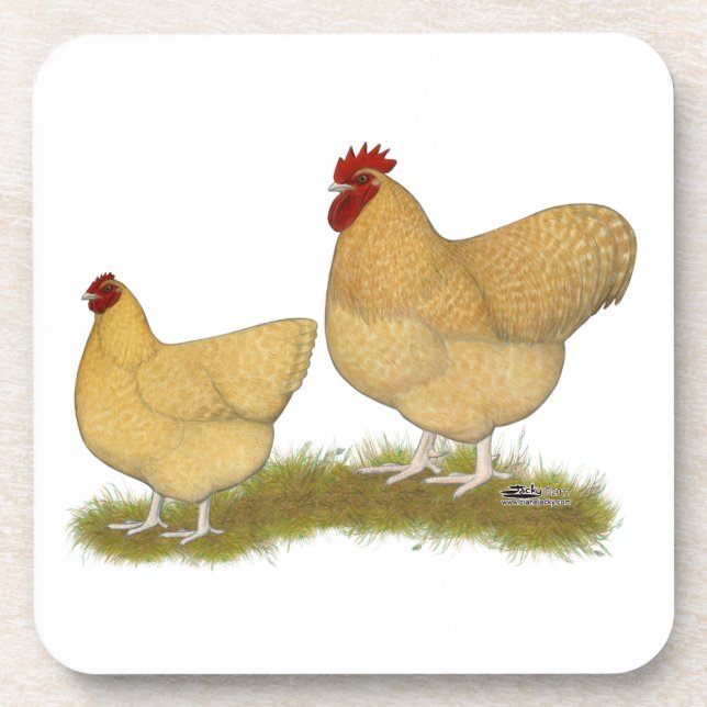 Porta-copo Orpingtons Lemon Cuckoo (Frente)
