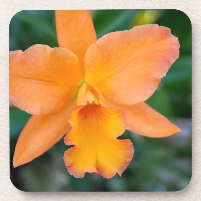 Porta-copo Orquídea de salmão (Frente)