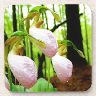 Porta-copo Orquídea silvestre de Lady Slipper Rosa