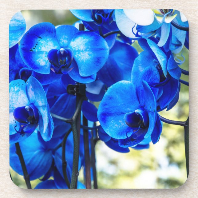 Porta-copo Orquídeas azuis (Frente)