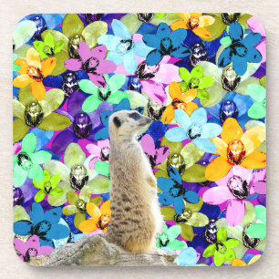 Porta-copo Orquídeas De Meerkat E De Aquarelas,