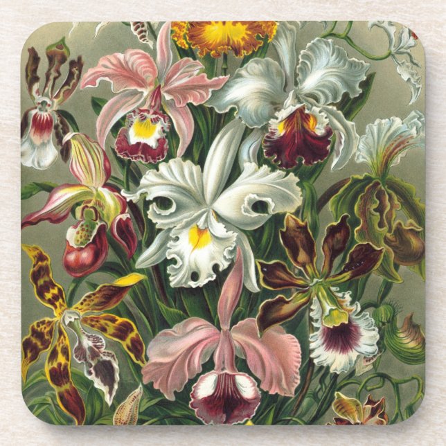 Porta-copo Orquídeas Haeckel (Frente)