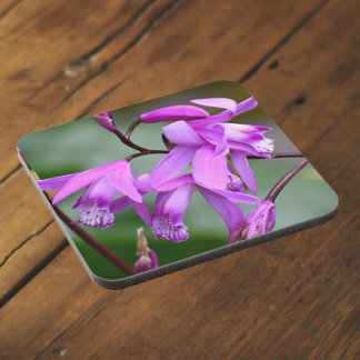 Porta-copo Orquídeas Hiacinosas Rosa Floral