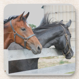 Porta-copo Os Cavalos do Amor