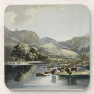 Porta-copo Os rebanhos do bisonte e dos alces na parte