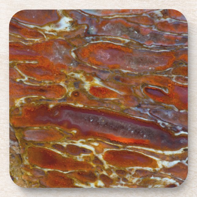 Porta-copo Osso Petrificado de Dinossauro (Frente)