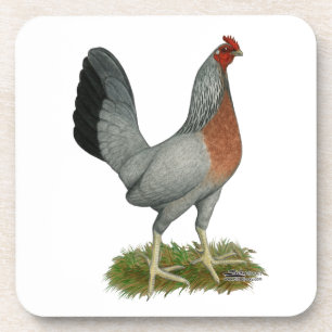 Porta-copo Ouro Duckwing Hen