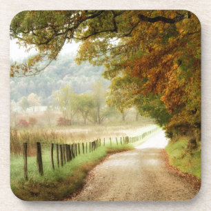 Porta-copo Outono na Estrada do País