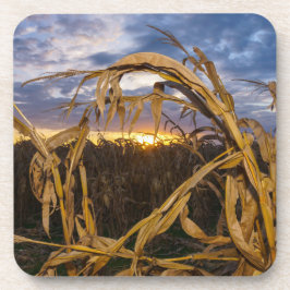 Porta-copo Ozarks Harvest