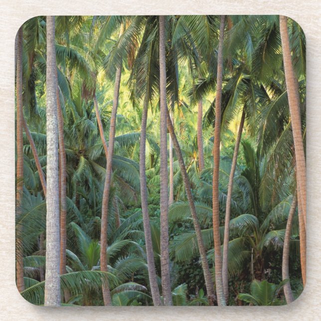 Porta-copo Pacífico Sul, Polinésia Francesa, Bora Bora. (Frente)