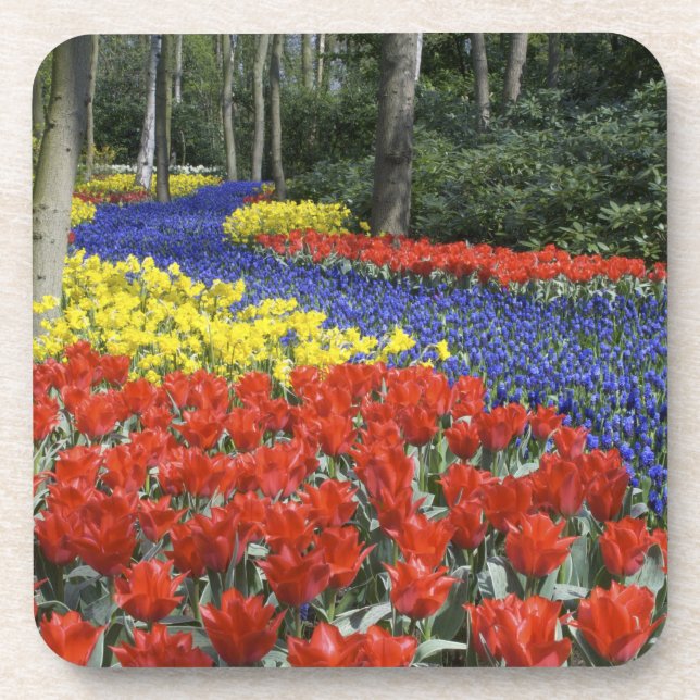 Porta-copo Países Baixos, Holanda, Lisse, Keukenhof Gardens (Frente)