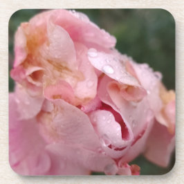 Porta-copo Pale Pink Rose
