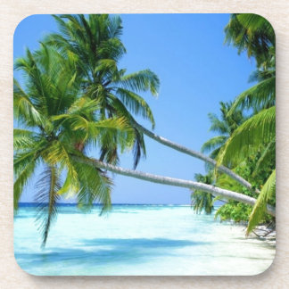 Porta-copo Palm Beach tropical!