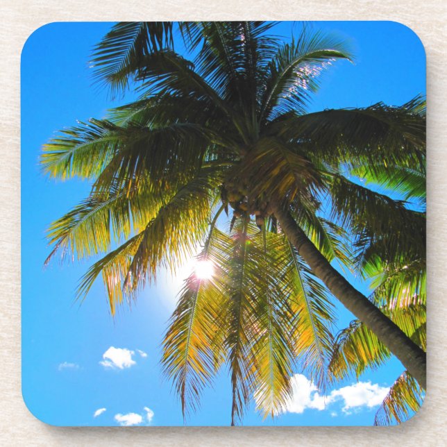 Porta-copo Palm Paradise Blue Sky Sunshine (Frente)