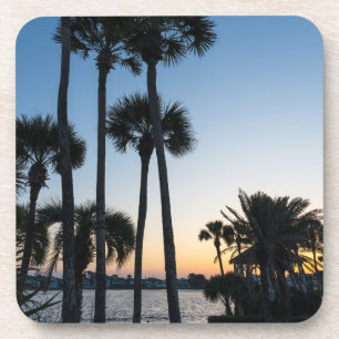 Porta-copo Palm Trees Sunrise Destin Florida Portas copos Set