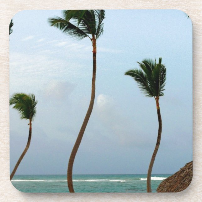 Porta-copo Palma da praia (Frente)