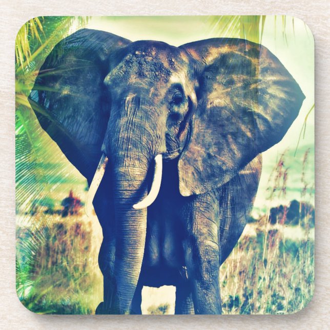 Porta-copo Palmas de elefante (Frente)