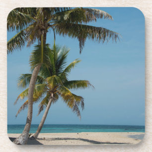 Porta-copo Palmeira e praia de areia branca