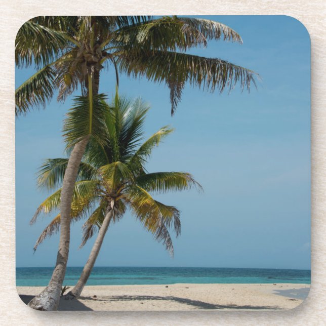 Porta-copo Palmeira e praia de areia branca (Frente)