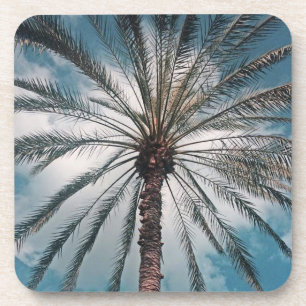 Porta-copo Palmeira tropical -