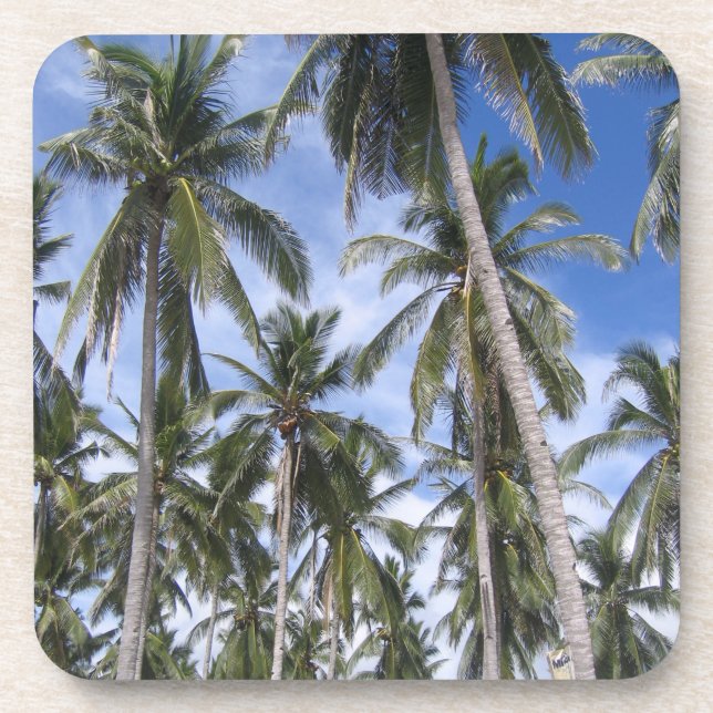 Porta-copo Palmeiras Tropicais (Frente)