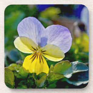 Porta-copo Pansy Perfection