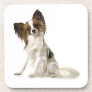 Porta-copo Papillon