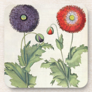 Porta-copo Papoilas: incarnato do multiplici do flore