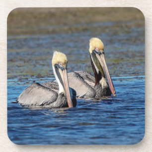 Porta-copo Par de Pelicanos