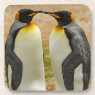 Porta-copo Par de pinguins-imperadores, Ilhas Falkland