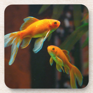 Porta-copo Pares de peixe dourado afortunado
