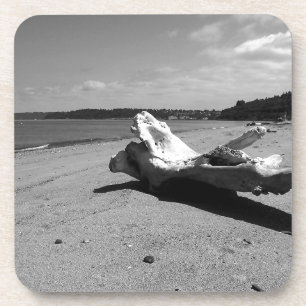Porta-copo Parque de Descoberta de Driftwood