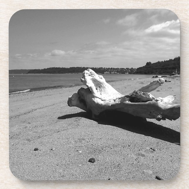 Porta-copo Parque de Descoberta Driftwood (Frente)