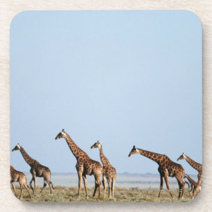 Porta-copo Parque nacional de Etosha, Namíbia 2